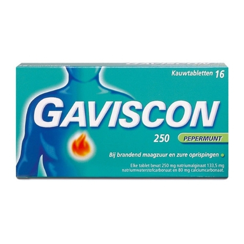 Gaviscon Natriumalginaat 250mg Kauwtabletten 16 stuks