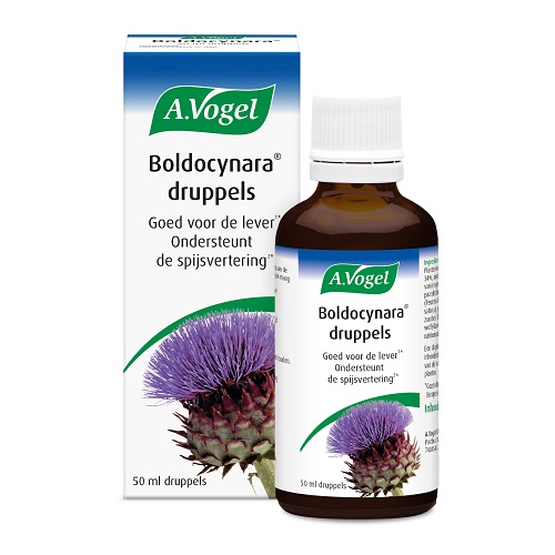 A. Vogel Boldocynara Druppels 50ml